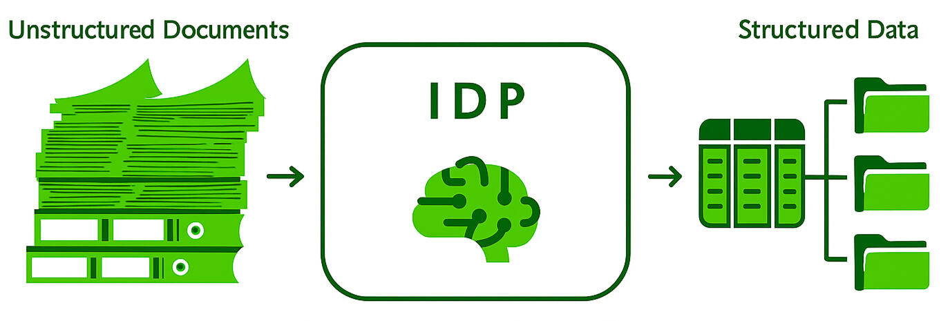 IDP